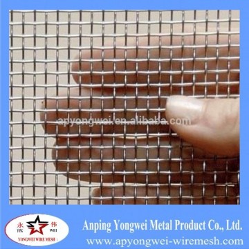 galvanized square mesh/ wires mesh