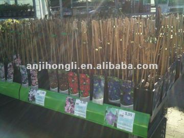 Natural Raw Green Bamboo Flower Stake