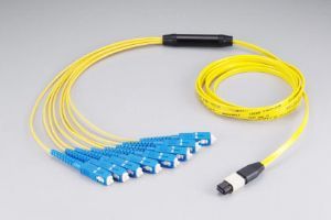 MPO - 8 SC fiber optic patch cord