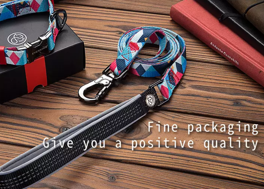 Σετ λουριού για κατοικίδια Pet Harness Leash Set
