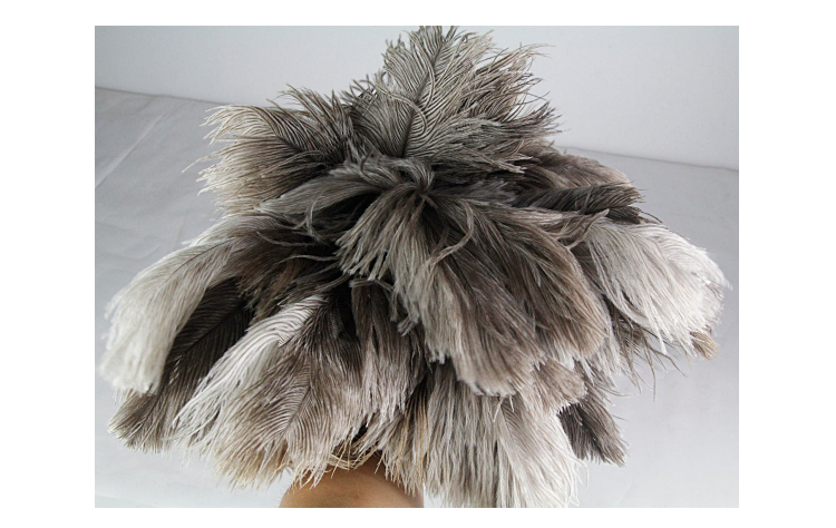 23" Economy Ostrich Feathers Duster