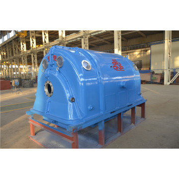 2 poles steam turbine generator