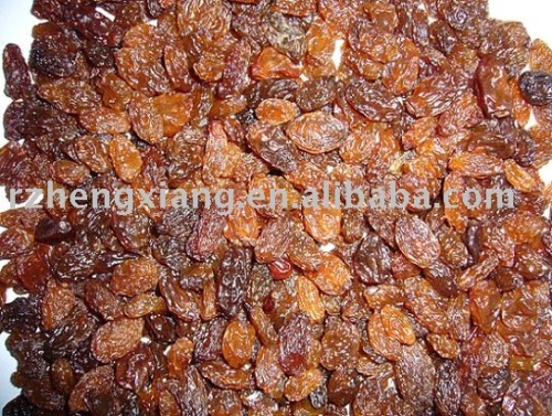 brown sultana raisins
