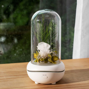 OEM rechargeable Home Flower Aroma Diffuser
