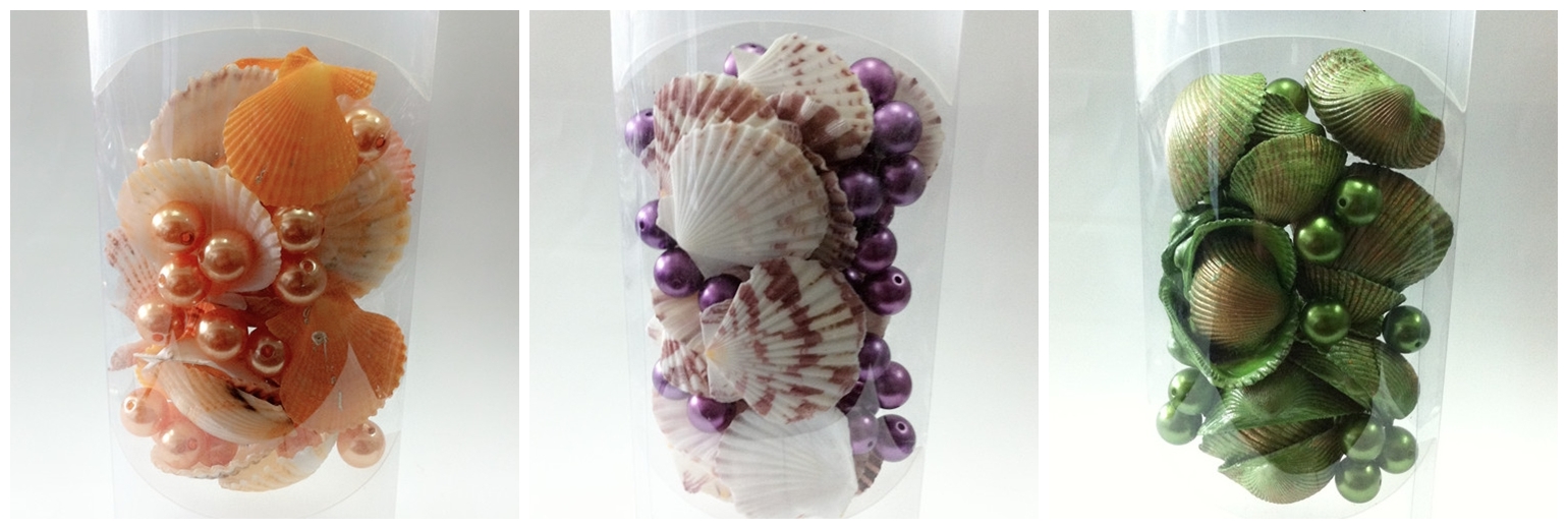 Natural Seashell Craft