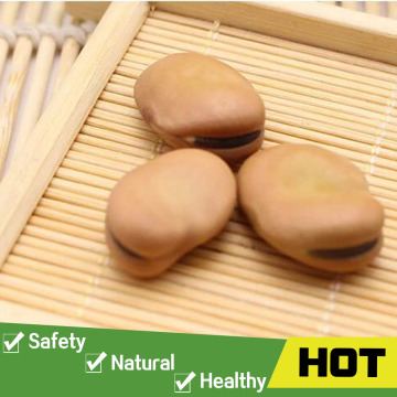 Wholesale bulk dry broad beans