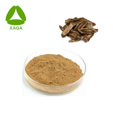 Common Aucklandia Root Extract Powder Vladimiria Root