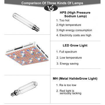 Alta potência COB LED cresce luzes para estufa