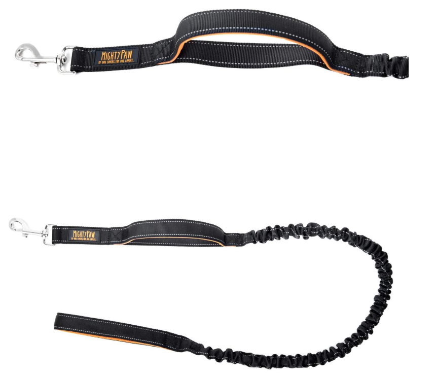 Comfortable Bungee Dog Leash