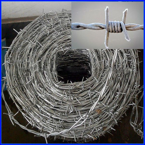 Hot Gavanized barbed wire price per roll kenya