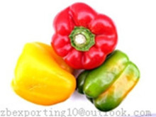 Capsicum Extract