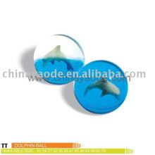 dolphin bouncing ball