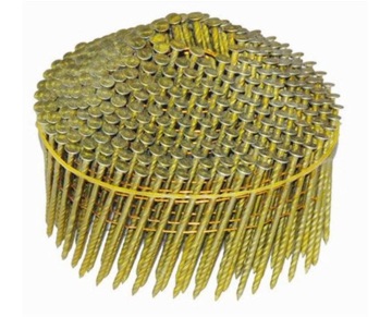 Screw type Coil Nails