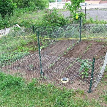 Rabbit Proof Fencing Around Vegetable Patch