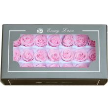 Longlive Kunming Factory Sale: Natural Preserved Rose Buds in Box