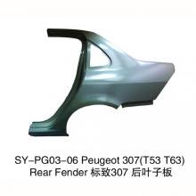 Peugeot 307 Rear Door