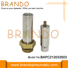 LPG CNG Reducer Solenoid Armature Repair Kits