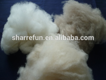 China manufacturer dehaired and cared cashmere fibres with low price