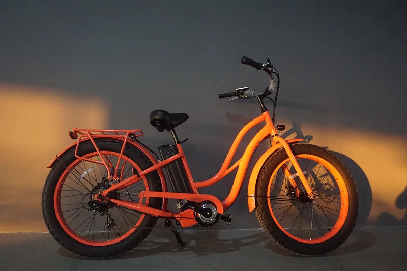 48V500W High Power Electric Bike with Pedals