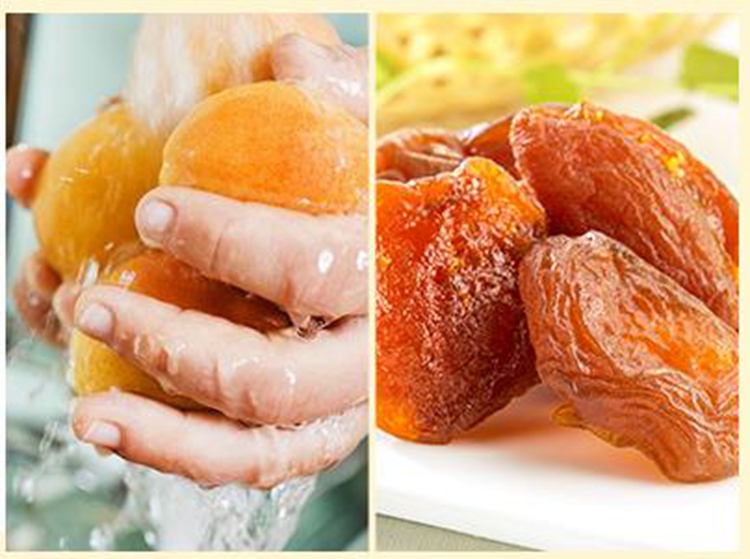 Uzbekistan natural and dried apricot fruit dry fruits