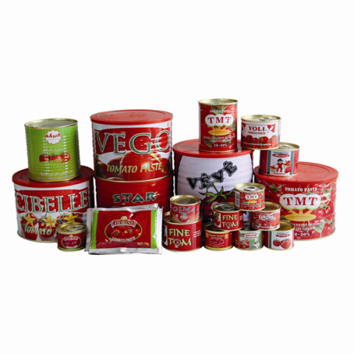canning tomato paste from factory