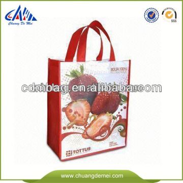 Laminated Green green beach bag