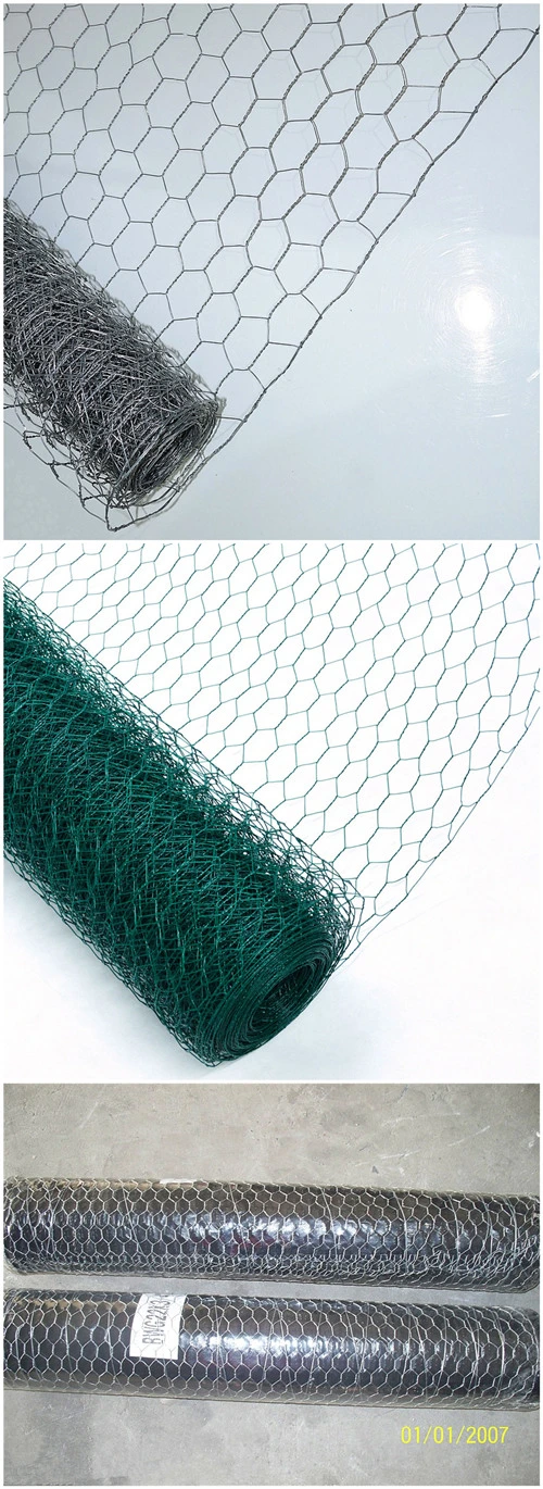 China Wholesale Galvanized Wire Netting with Hexagonal Hole (HWN)