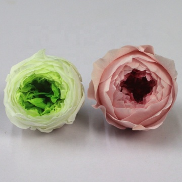 Wholesale Eternal Rose Austin Preserved Flower for Floral Arrangement