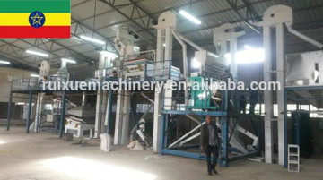 Cocoa Bean Cleaning Plant/Lentil Soybean Bean Processing Line