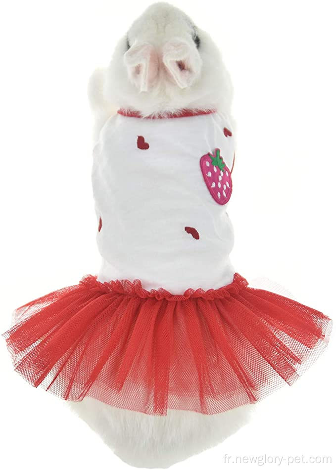 Vêtements de robe lapin mignon