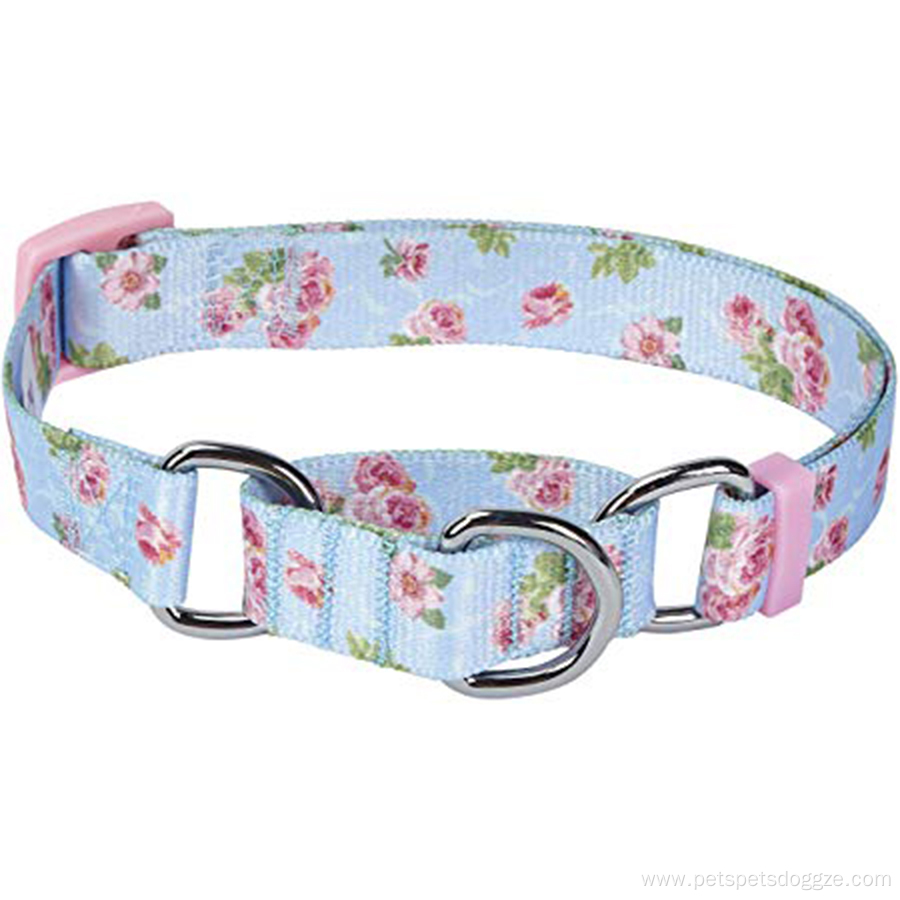 Safety Training Martingale Dog Collar No Buckle