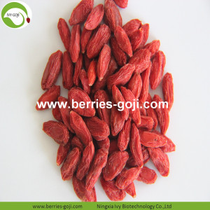 Nhà máy Cung cấp Trái cây Super Food Cung cấp Goji Berry