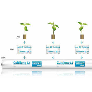 Système de plantation de laine de roche en hydroponie à effet de serre