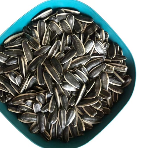 Raw Sunflower Seeds With Different Types