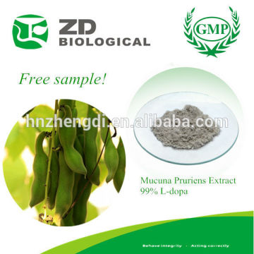 Organic L-dopa,L-dopa,Pure L-dopa 99%,Mucuna Pruriens Extract