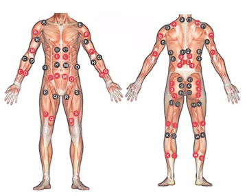 Factory Direct Micro Current Patch Weight Loss Beauty Instrument EMS Electroperforation