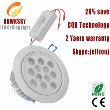 big?deal?CREE?high?lumen?led?downlight maker