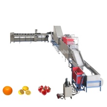 Tomato Avocado Orange Apple Weight Sorting and Grading Machine