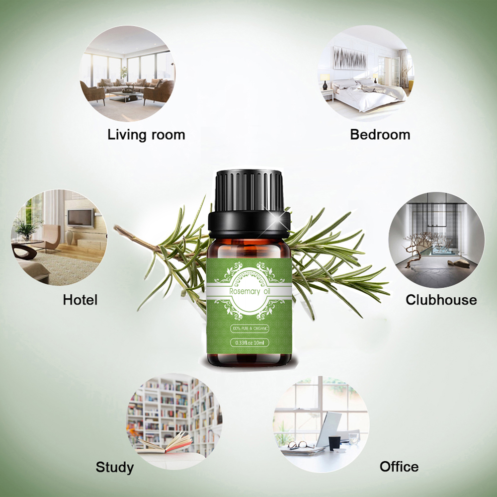 Factory supply natural rosemary essential oil hair growth