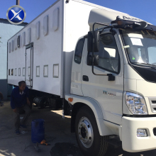 day old chick truck body prices poults Day-old turkey poults