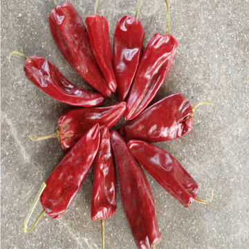 2019 New Crop FDA Dry American Red Chillies