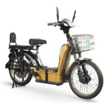2012 Nice Look 350W Electric Bicyle