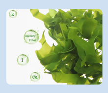 Salted Kombu Seaweed Sea Kelp Strip