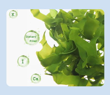 Salted Kombu Seaweed Sea Kelp Strip