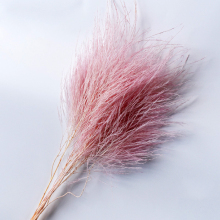 ZanTe Wholesale 10 Pcs Preserved Tiki Fern Fern Branch for Room Desk Decor