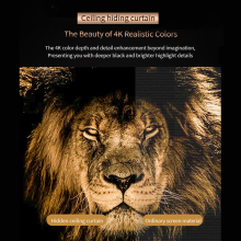 Electric In-Ceiling Screens for Officee