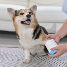 Long Standing Reputation Dog Paw Cleaner - Foot Washer for Dogs