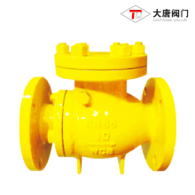 Swing Ceramic Check Valve