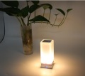 Werbe-Logo Schreibtisch Touch Lamp Powerbank