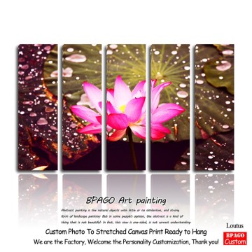 Flower large paintings wall pictures for living room